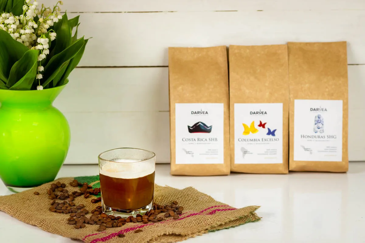 Zdjęcie Kawa i camel co to znaczy? Odkryj ich głębokie znaczenie w rapie Palucha
