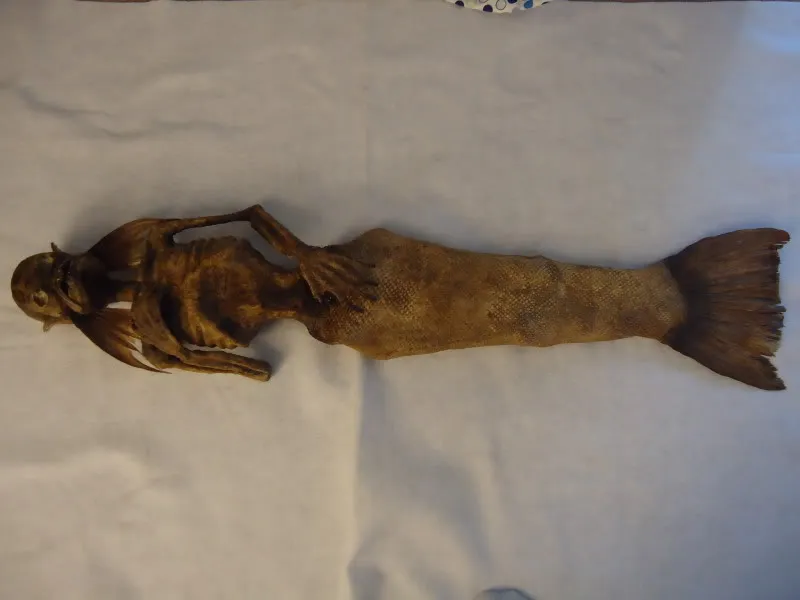 Zdjęcie Czy syreny żyją? Odkryj prawdę o mitycznych istotach morskich