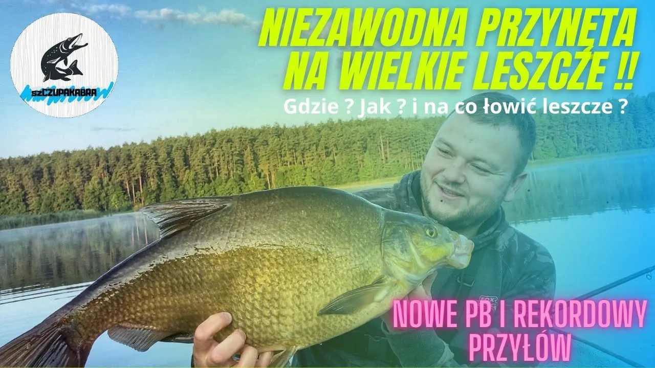 Zdjęcie Najlepsza przynęta na lina spławik – co wybrać, aby złowić więcej?