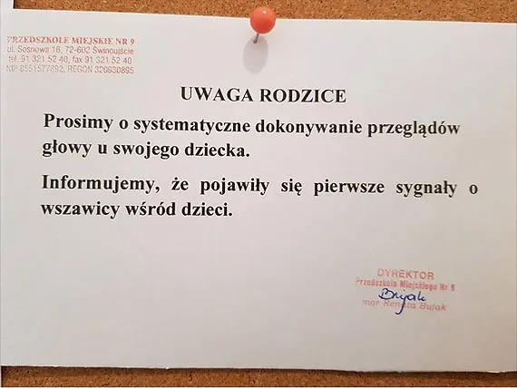 Zdjęcie Czy dziecko z wszami może chodzić do przedszkola? Sprawdź zasady!