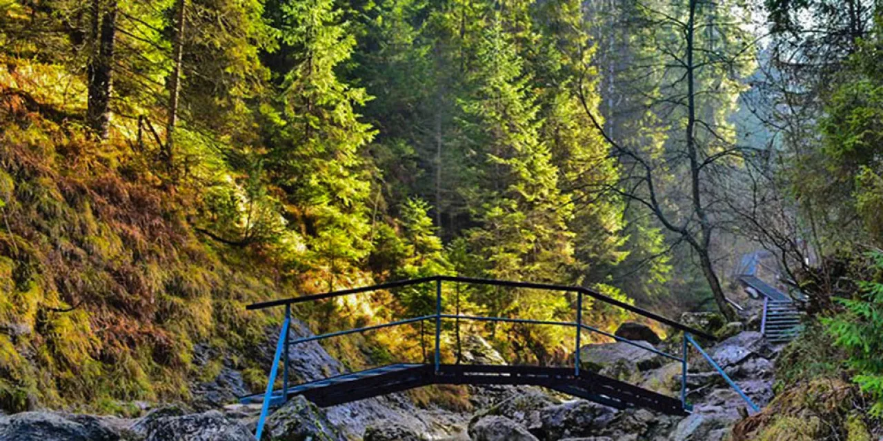 Wąw&oacute;z Homole Pieniny