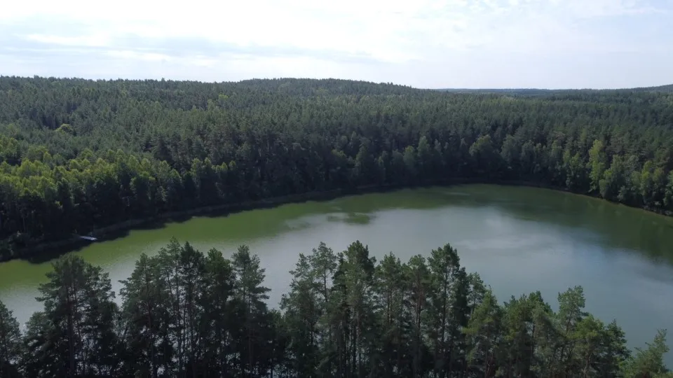 Zdjęcie Jezioro Zaleskie: idealne miejsce na relaks i wędkowanie w naturze