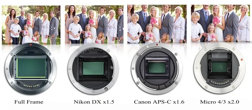 Rodzaje matryc aparatów fotograficznych APS-C pełna klatka