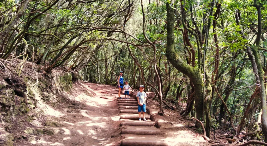 Anaga las wawrzynowy szlak trekkingowy