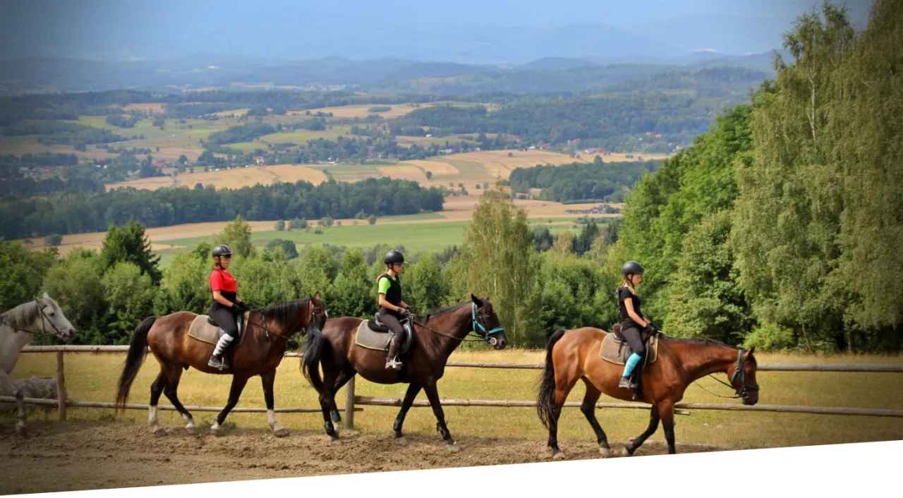 Jelenia G&oacute;ra konie Karkonosze