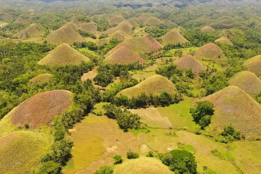 Czekoladowe Wzg&oacute;rza Bohol widok