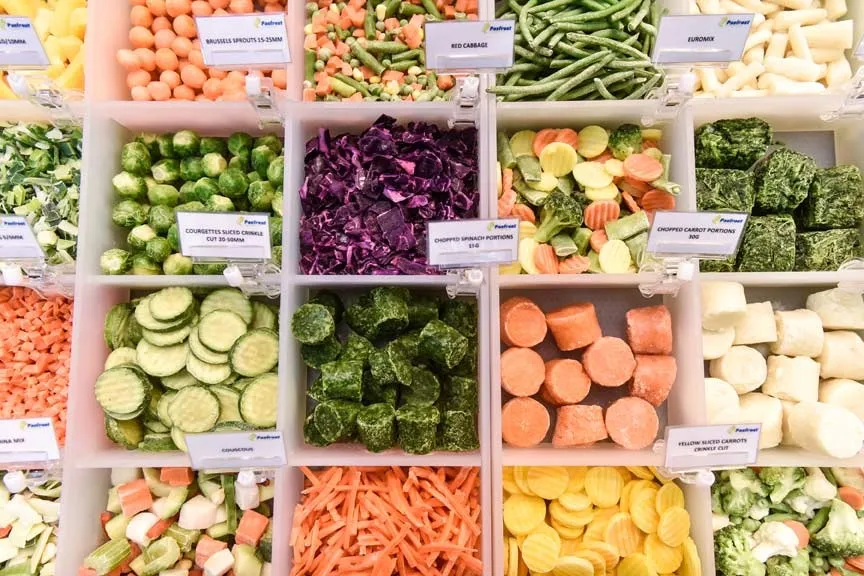 Różne rodzaje zamrożonej żywności w pojemnikach