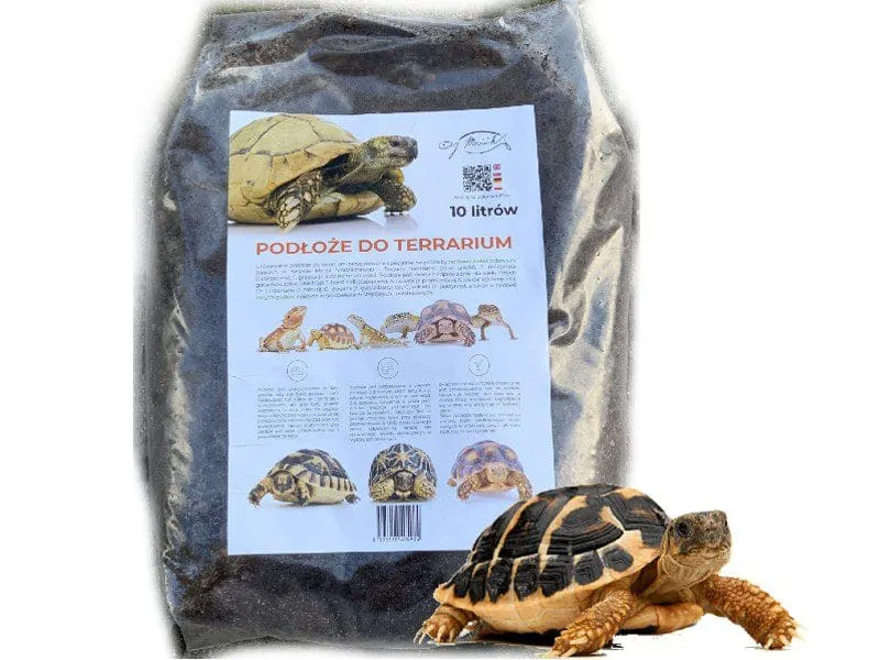 Wyprawka dla żółwia domowego