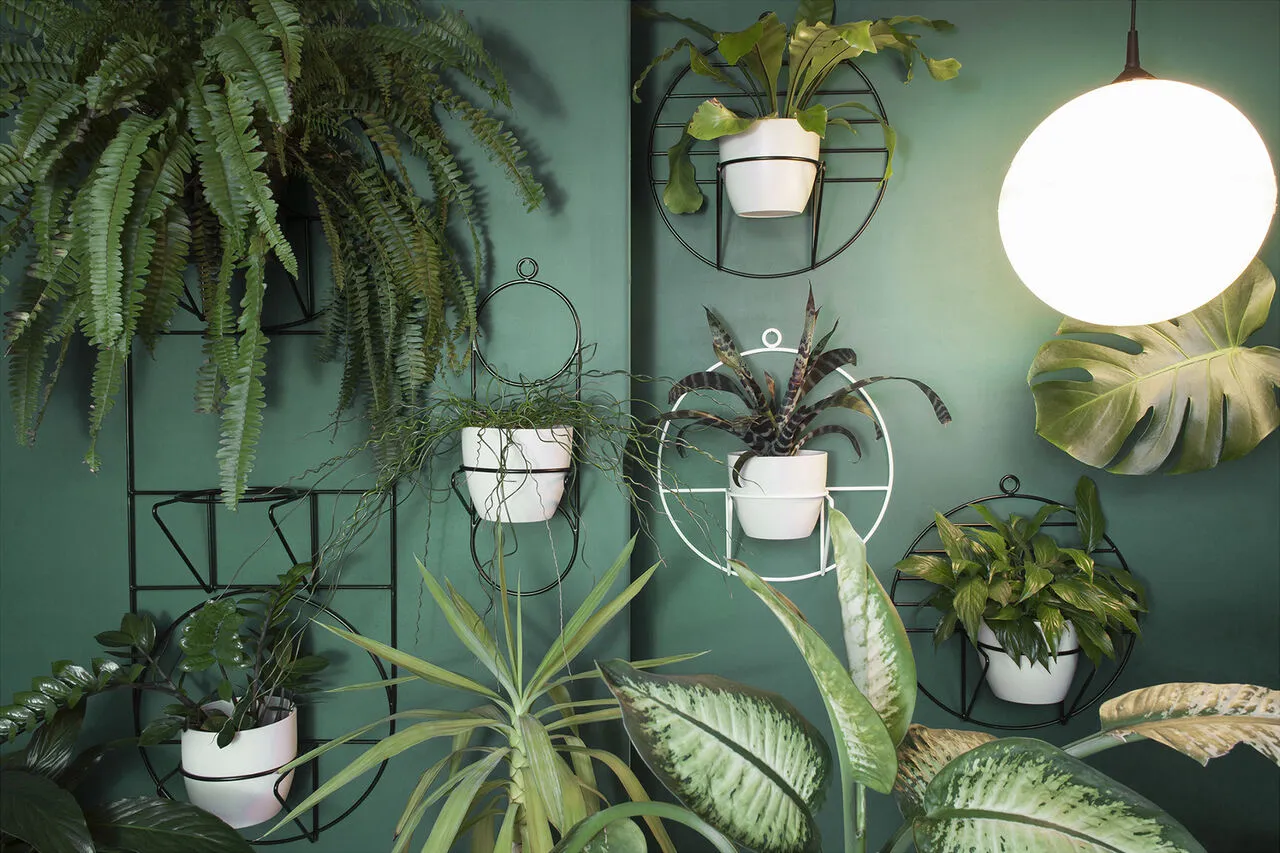 r&oacute;żne typy kwietnik&oacute;w do salonu