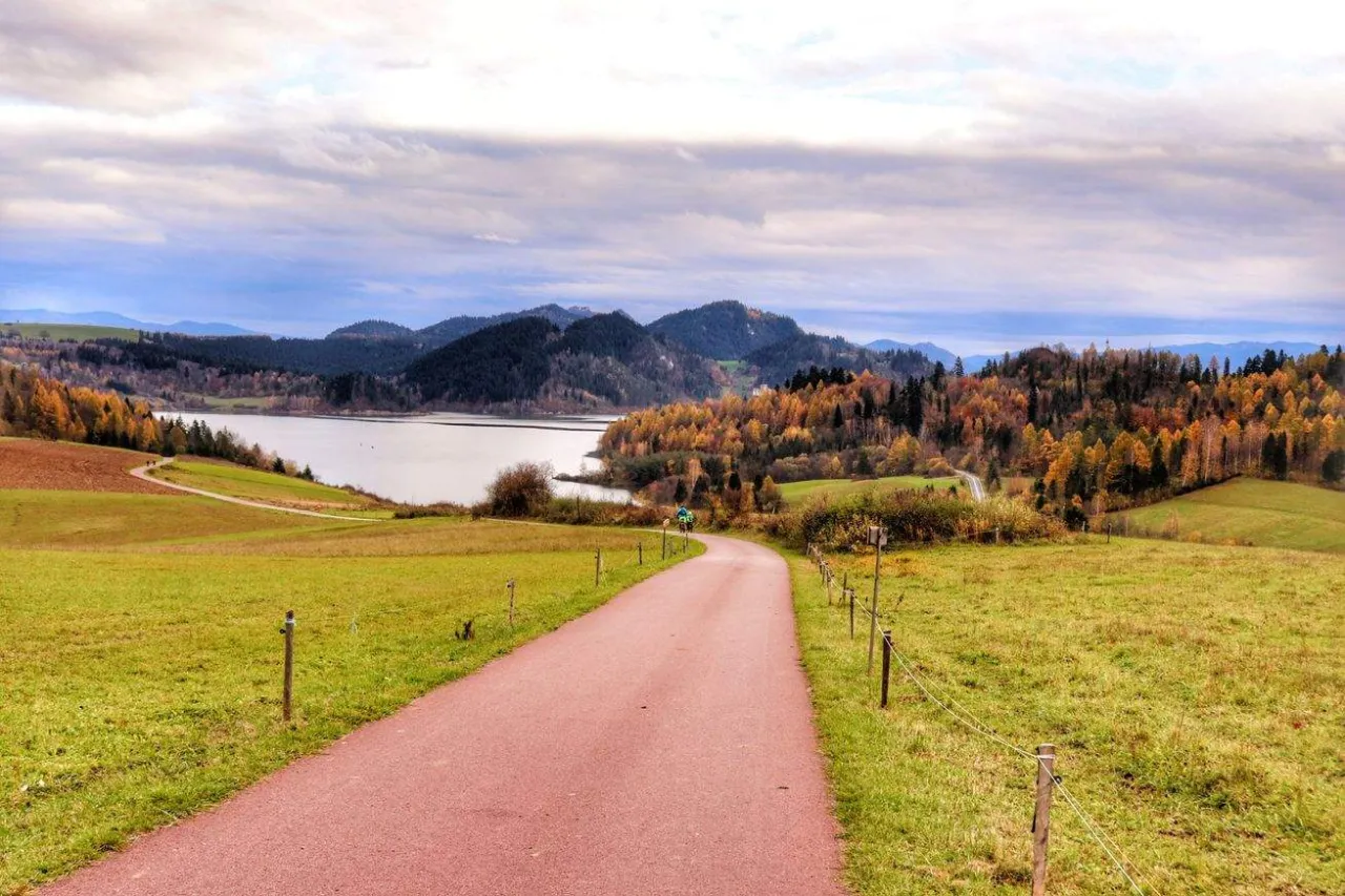 Malownicza droga w Pieninach, idealna na trasy rowerowe. Jezioro i jesienne drzewa tworzą piękny krajobraz.