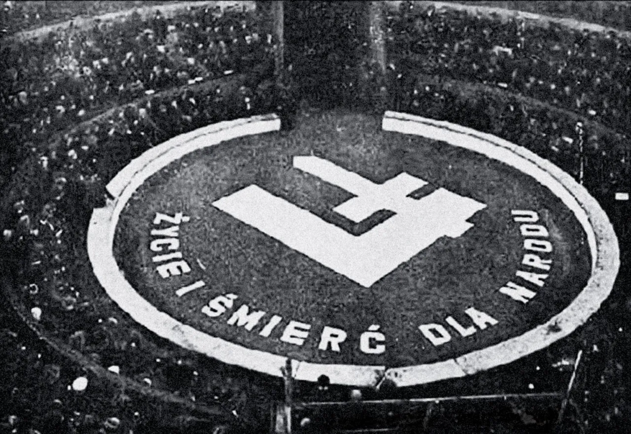 Ob&oacute;z Narodowo-Radykalny symbolika