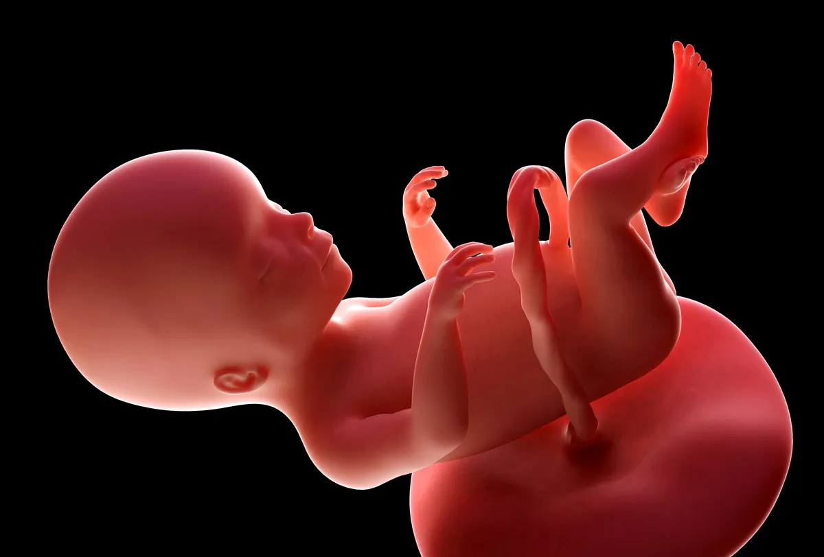 lokalizacja macicy 20 tydzień ciąży