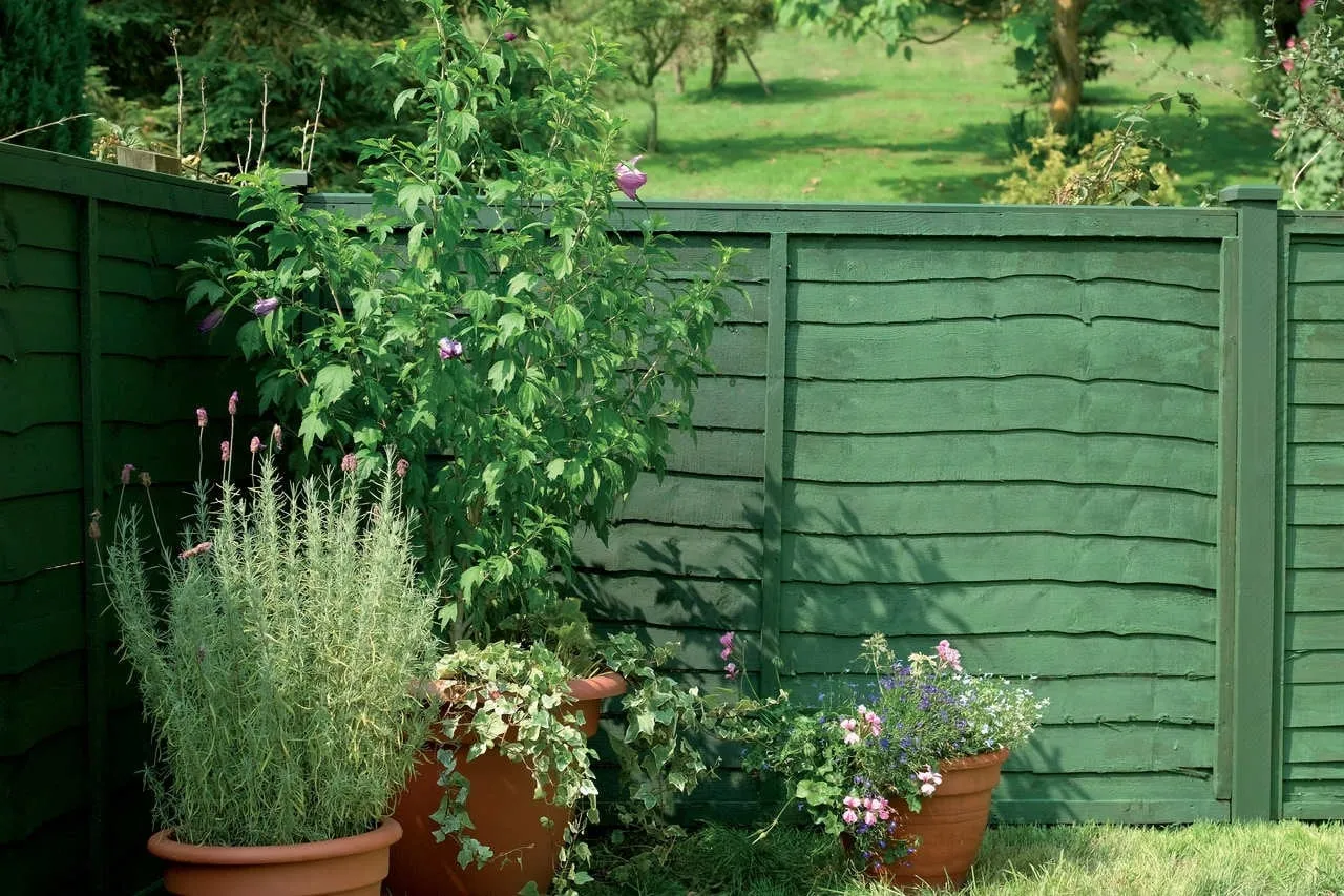 Przygotowanie starego drewnianego płotu do malowania