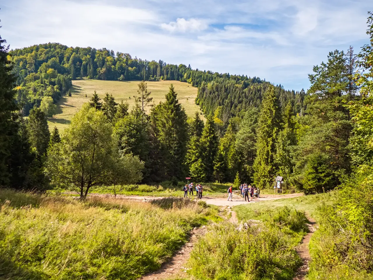 Rezerwat przyrody Wąw&oacute;z Homole. Grupa turyst&oacute;w na szlaku wśr&oacute;d zielonych drzew i łąk.