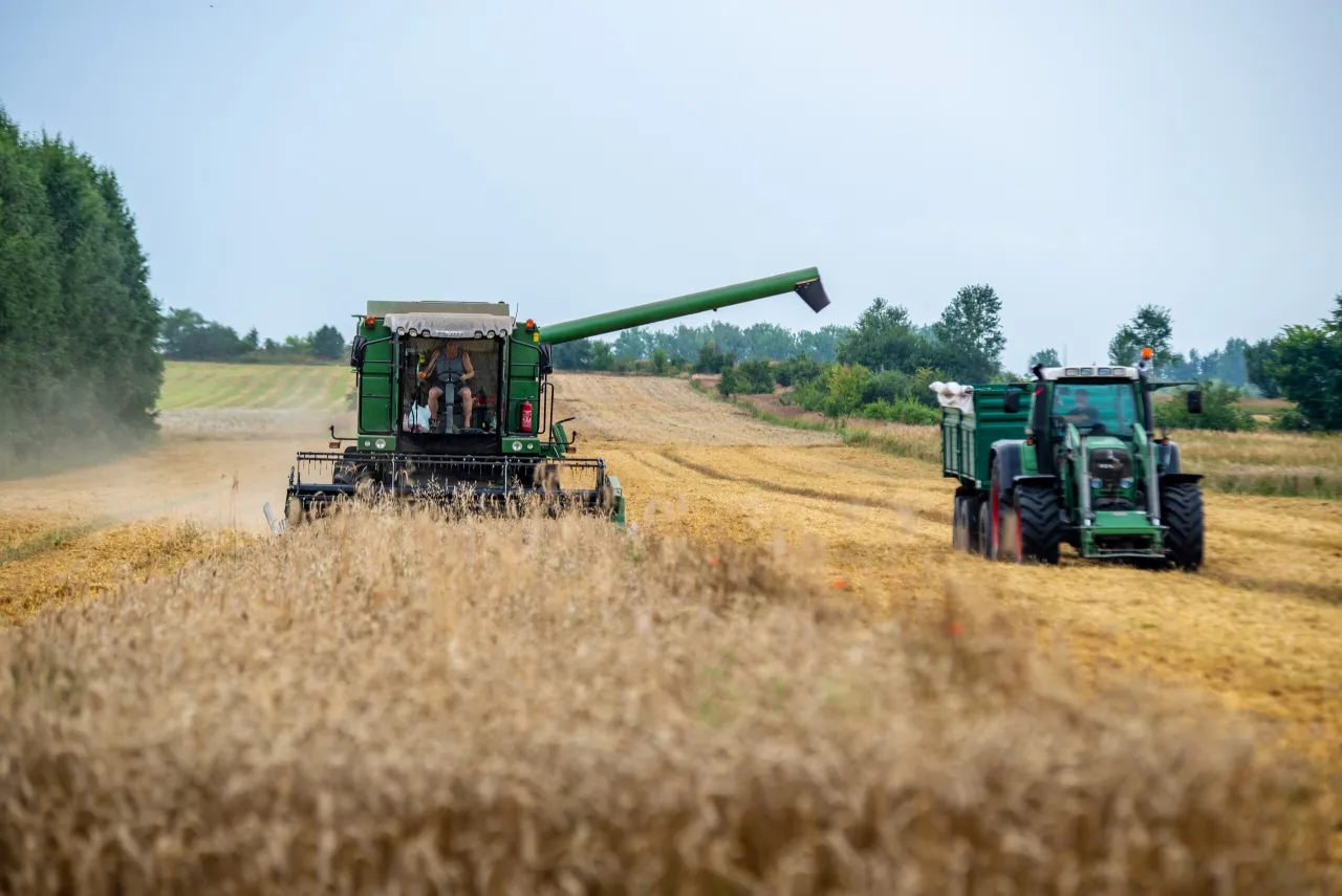 czynniki wpływające na ceny pszenicy infografika
