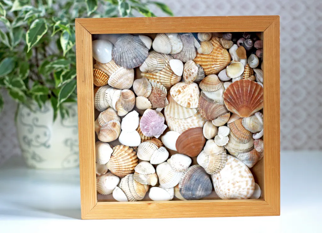 Pomysły na dekoracje z muszli bałtyckich