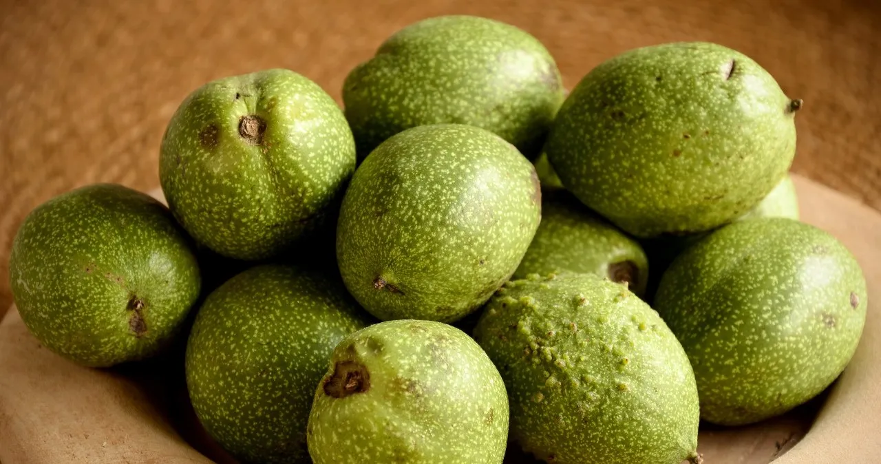 zielone orzechy włoskie jod tarczyca