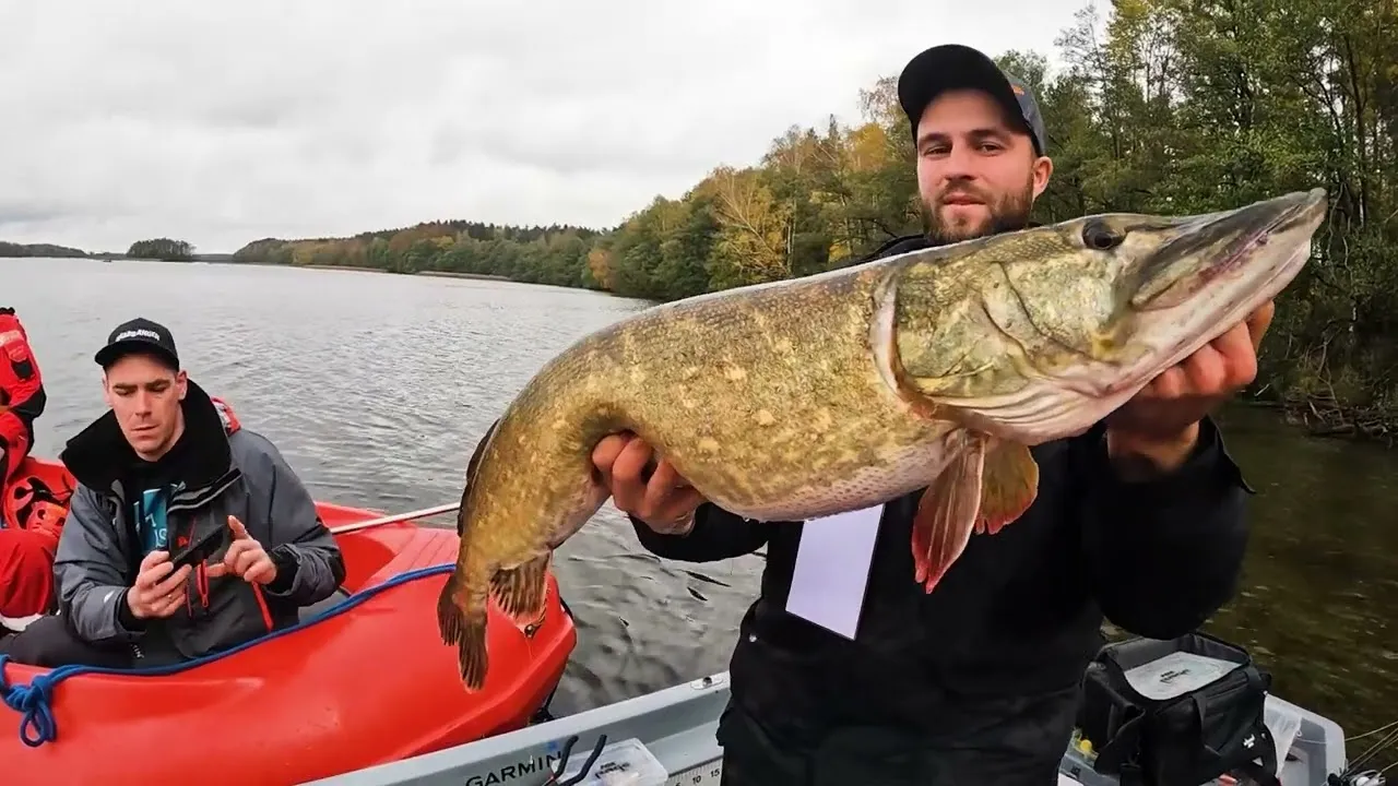 Wędkarz łowiący szczupaka na Jeziorze Jasień
