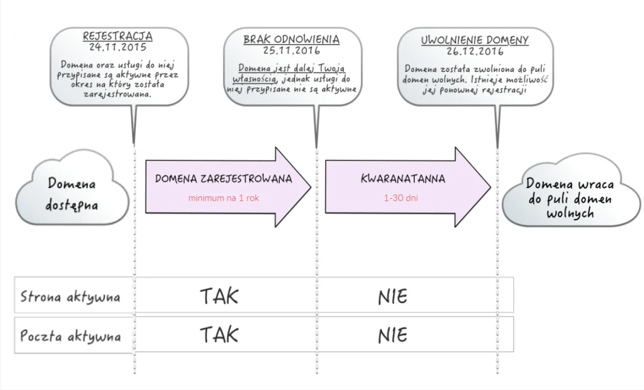 Cykl życia domeny: dostępna, zarejestrowana, kwarantanna, wolna. Dowiedz się, co to domeny i jak działają.