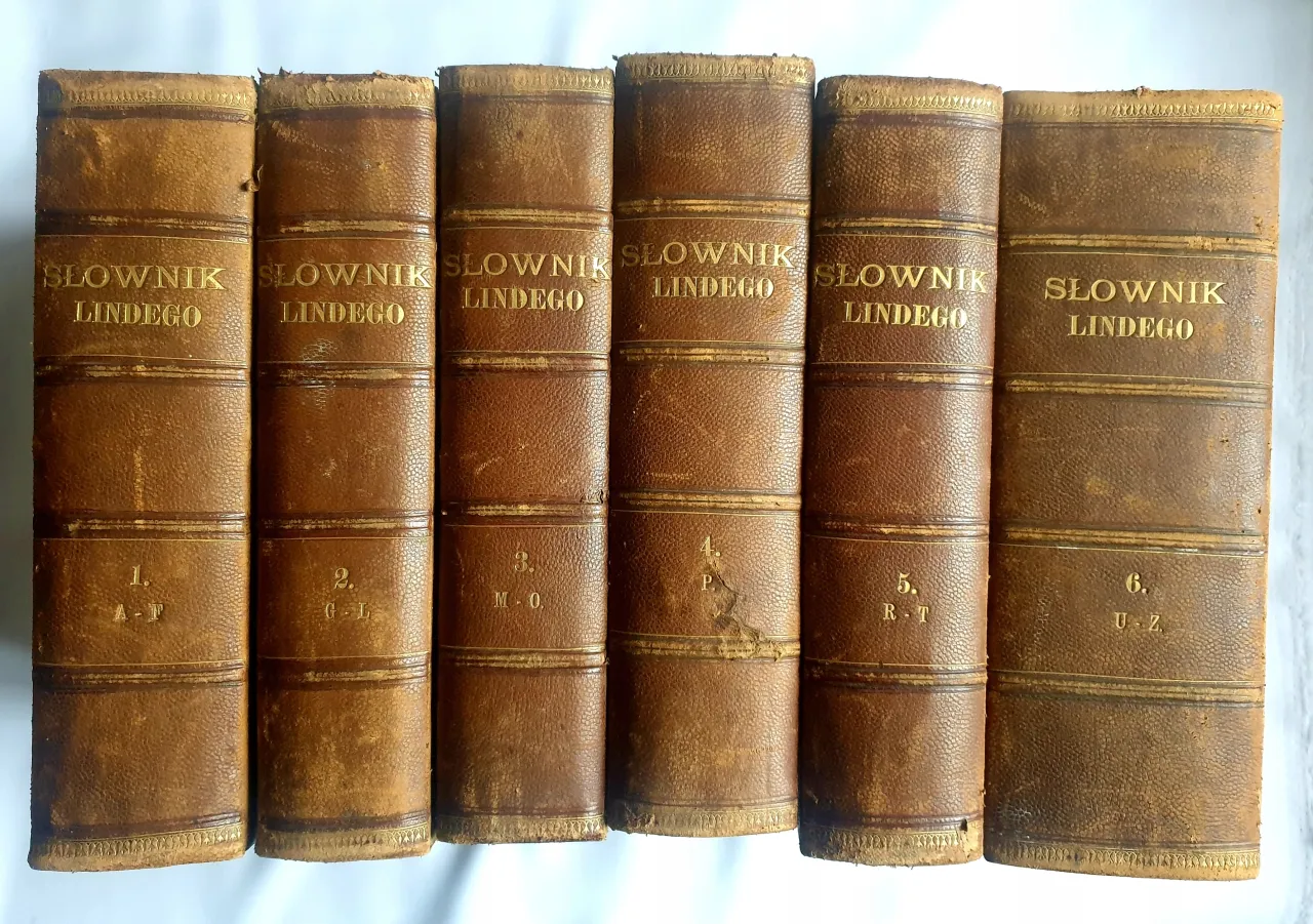 Otwarty słownik i osoba czytająca książkę