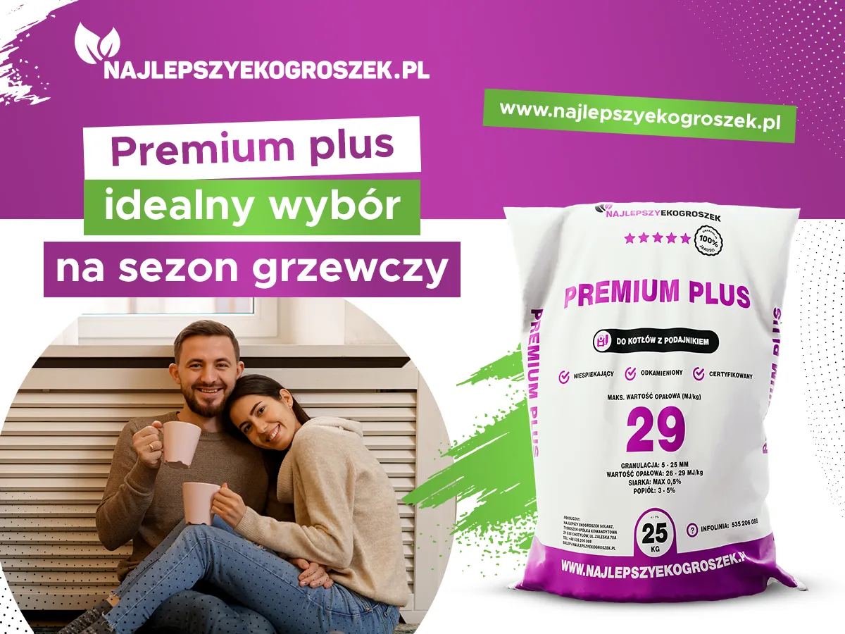 parametry jakościowe groszku premium infografika