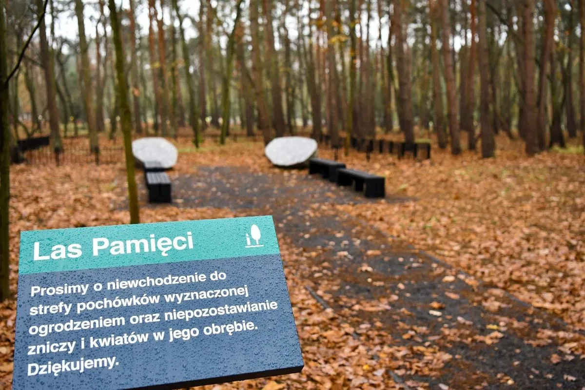 las pamięci biodegradowalna urna
