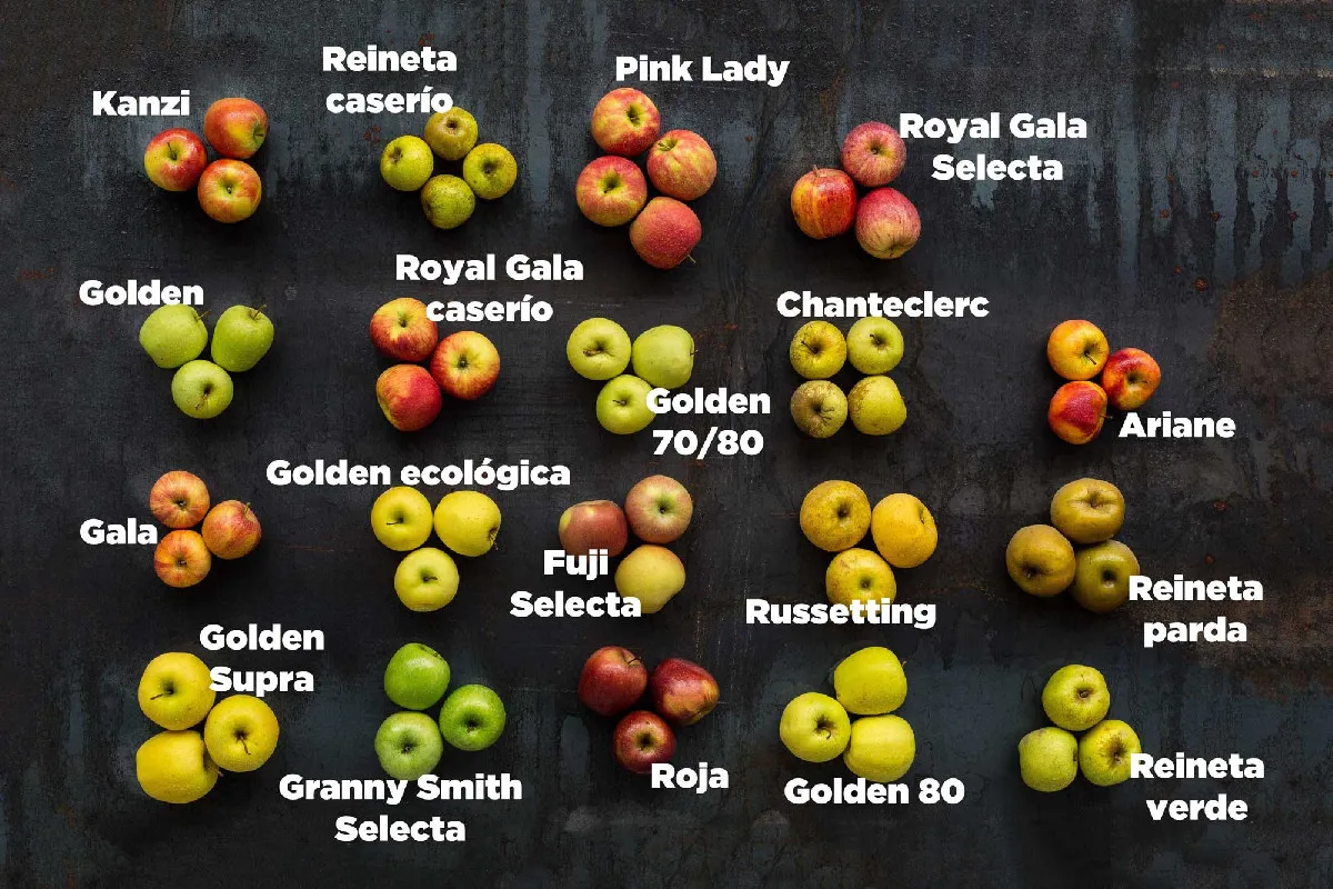 Tipos de manzana para postres