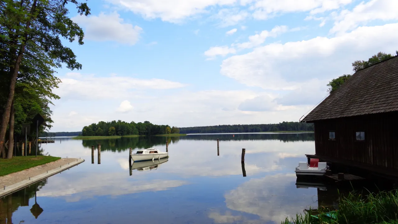 Ryby Jeziora Białego Augustowskiego