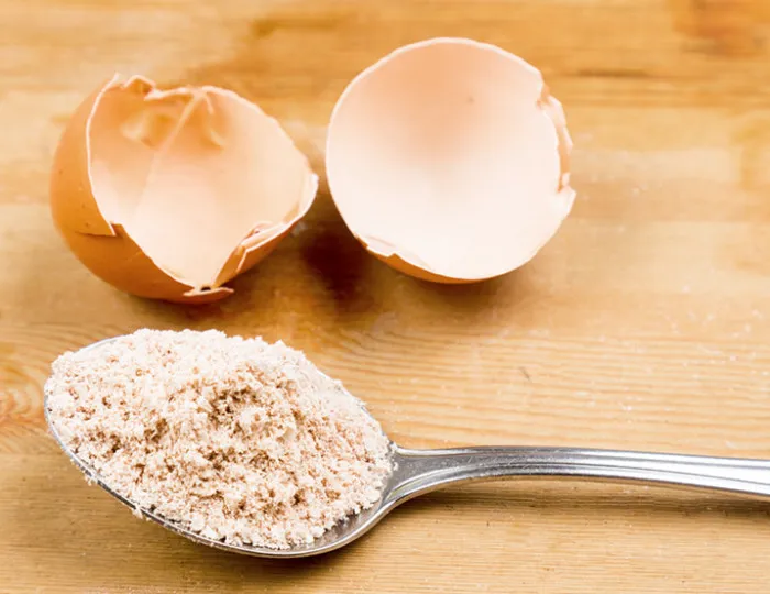 zmielone skorupki jaj dla psa