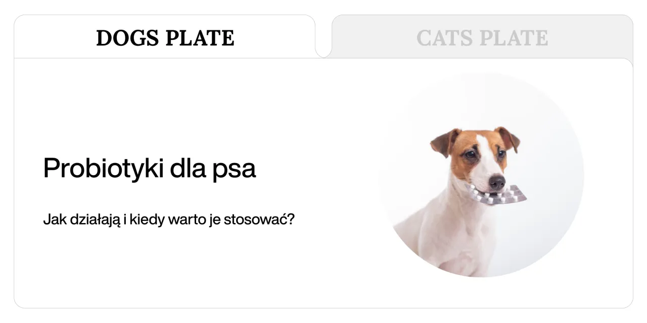 pies z problemami trawiennymi probiotyk