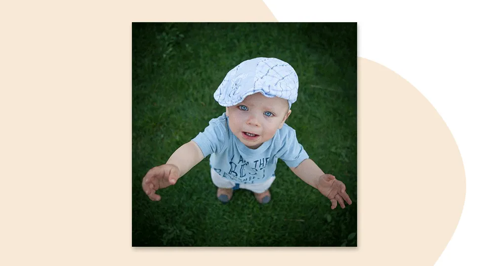 Przykłady zdjęć z różnej perspektywy: żabia, ptasia, na wysokości oczu