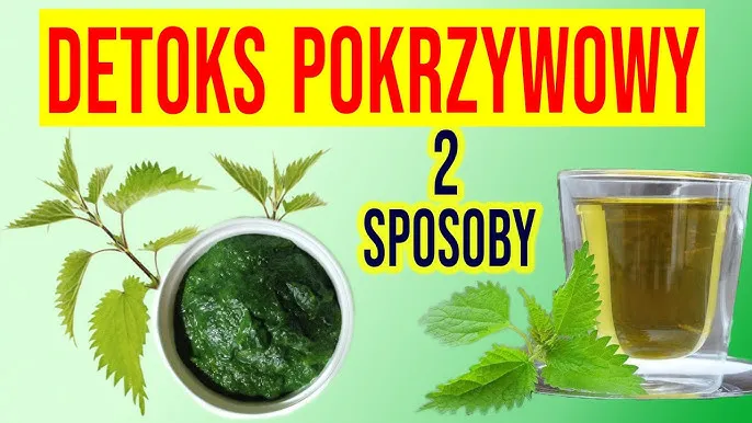 herbata z pokrzywy detoks