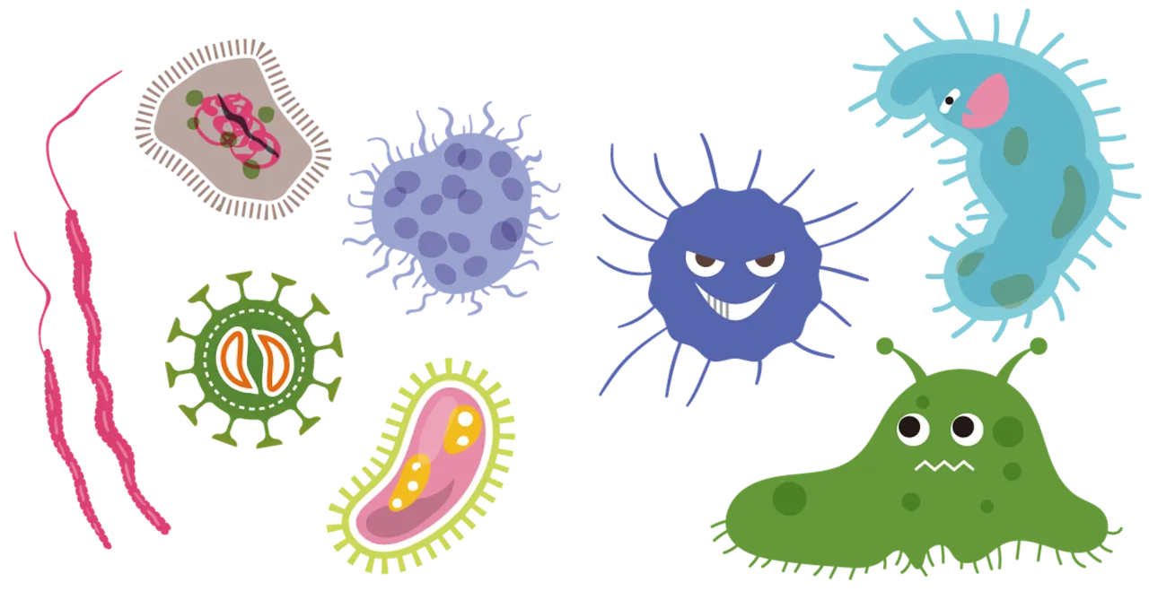 r&oacute;żnica wirus bakteria grafika