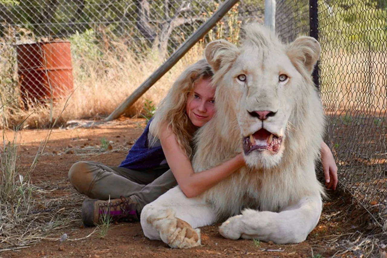 dzieci oglądające filmy o zwierzętach