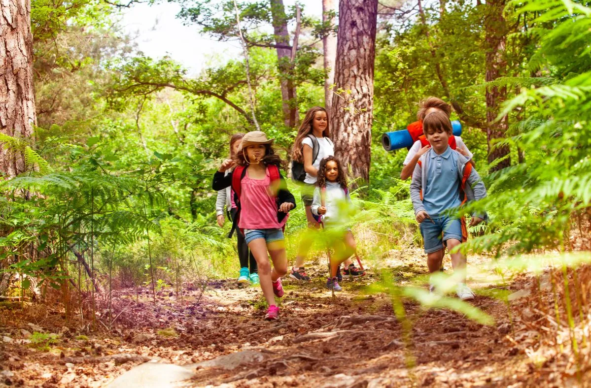 dzieci sprzątające las na kolonii