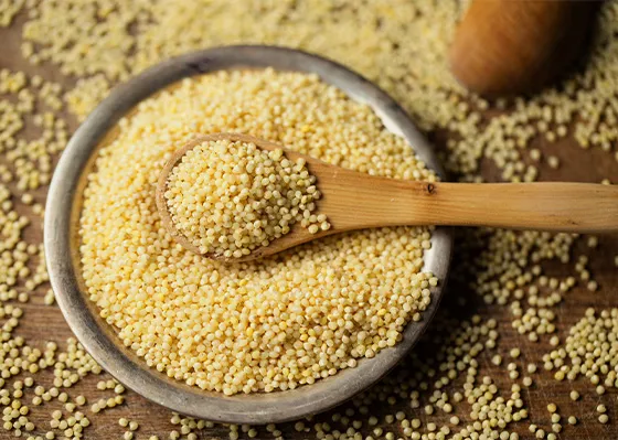 kasza jaglana proso ziarna