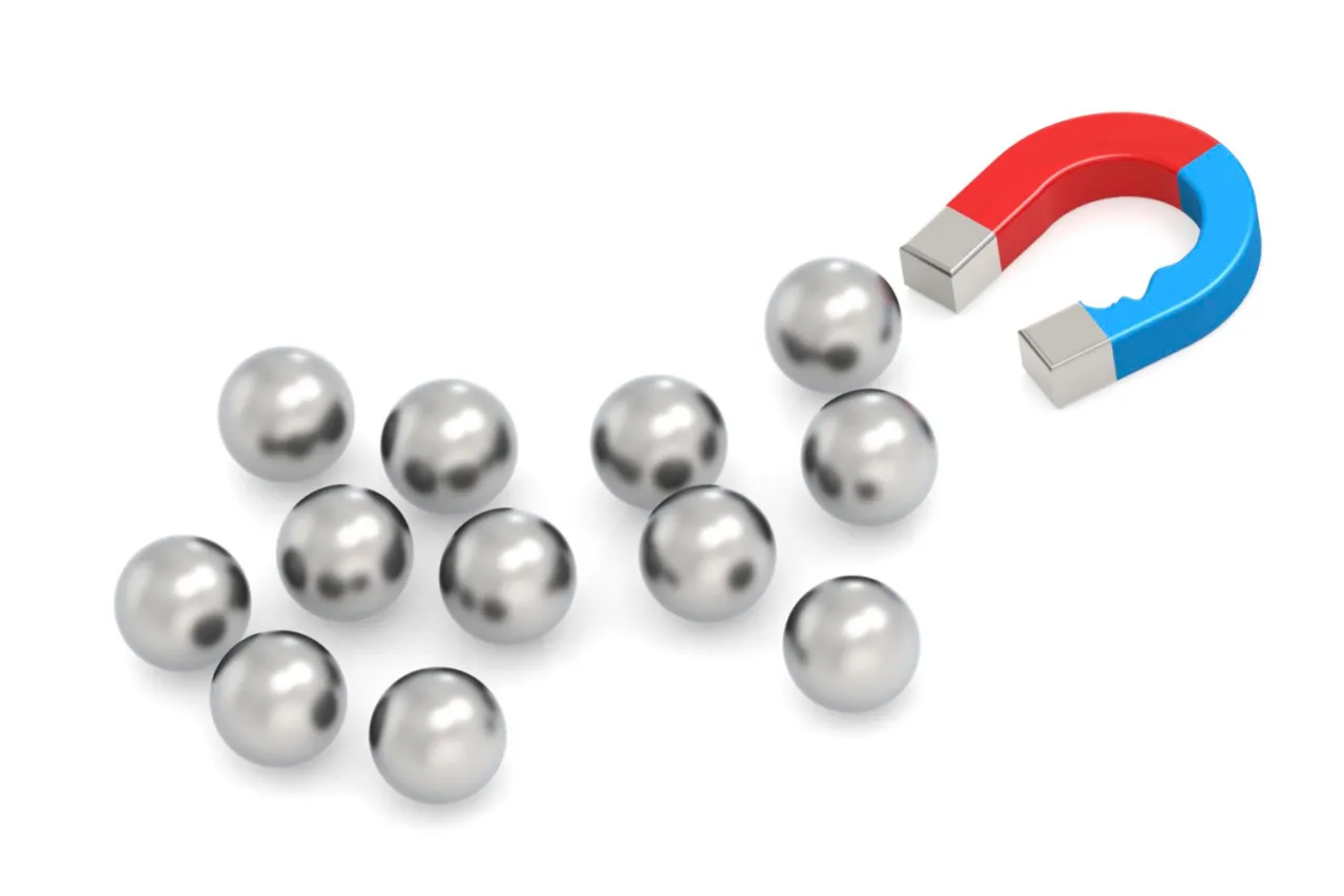 magnesy neodymowe r&oacute;żne kształty i rozmiary