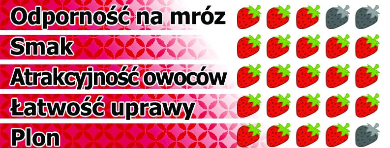 r&oacute;żne odmiany truskawek