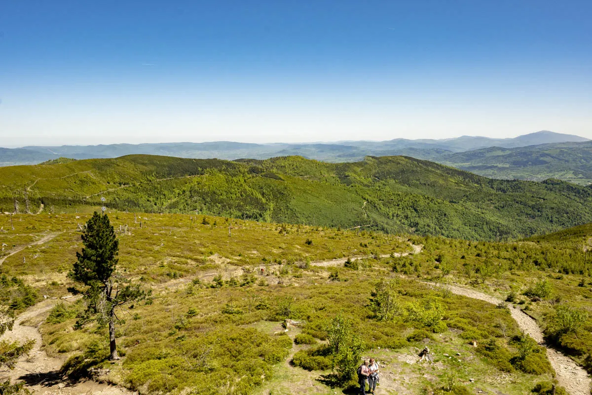 Barania Góra szlak widok