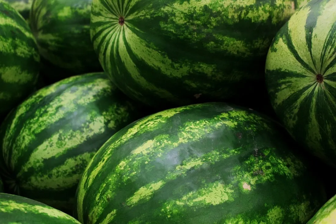 Zdjęcie W jakim kraju rosną arbuzy? Odkryj największych producentów na świecie