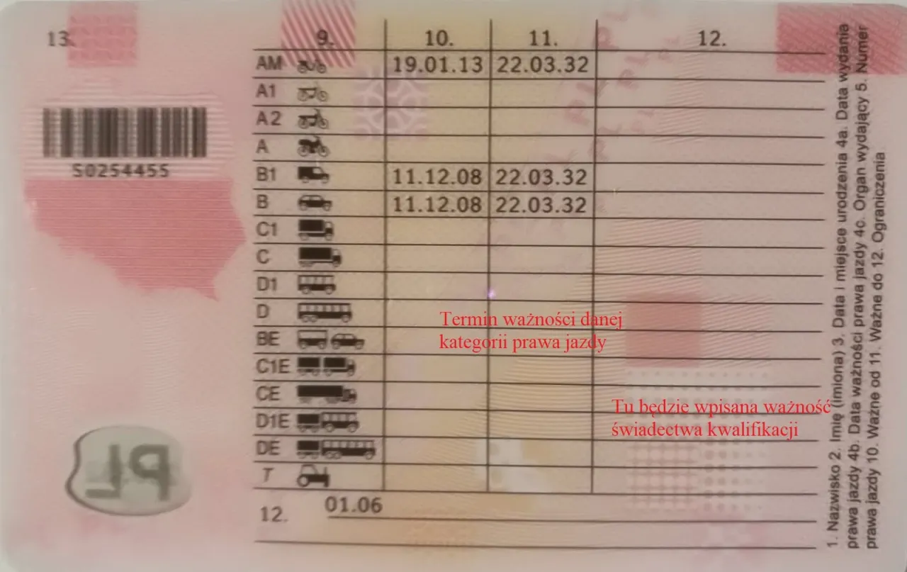 Prawo jazdy z kategorią D uprawnia do kierowania autobusem na 12 os&oacute;b. Sprawdź ważność swoich uprawnień.