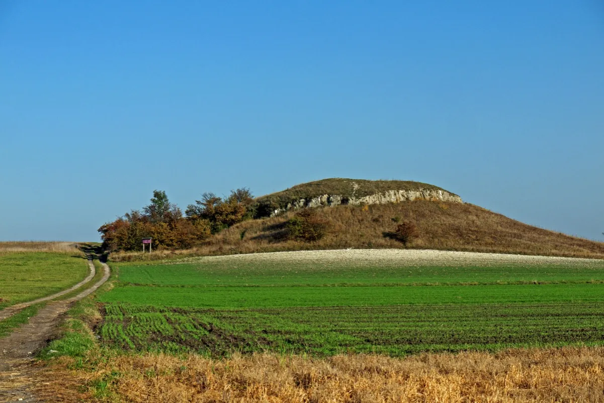 Krajobrazy Ponidzie rezerwaty stepowe