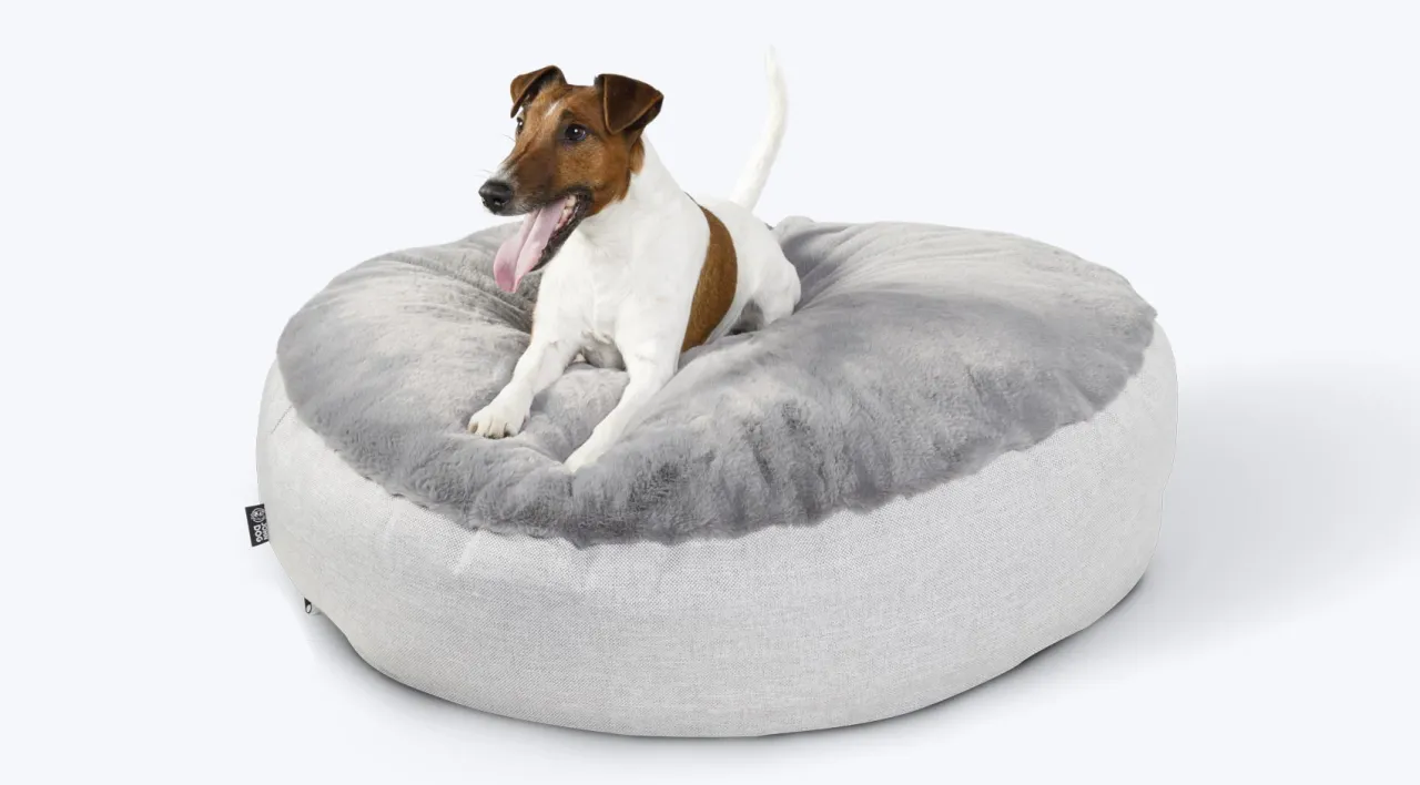 legowisko szczeniaka idealne