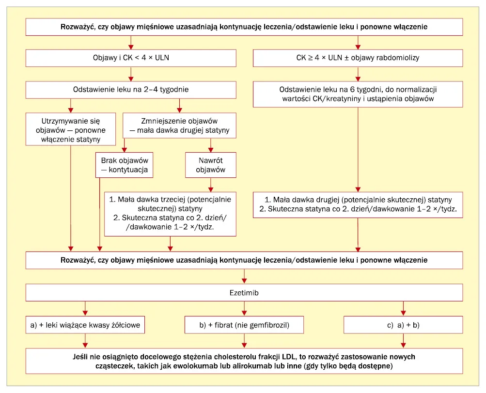 Czynniki ryzyka b&oacute;l&oacute;w mięśni statyny