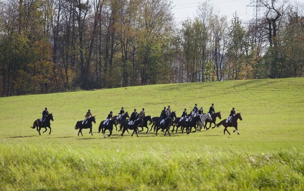 Zawody konne w Stadninie Książ