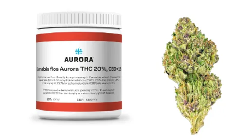 medyczna marihuana odmiany apteka polska