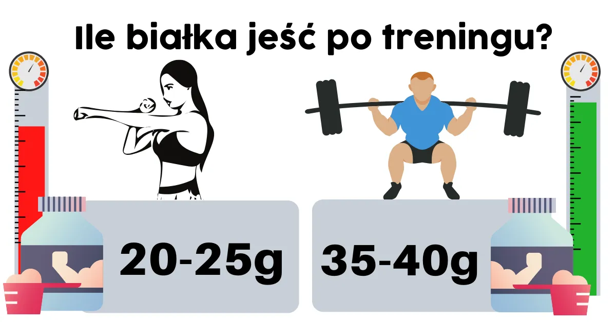 białko po treningu infografika