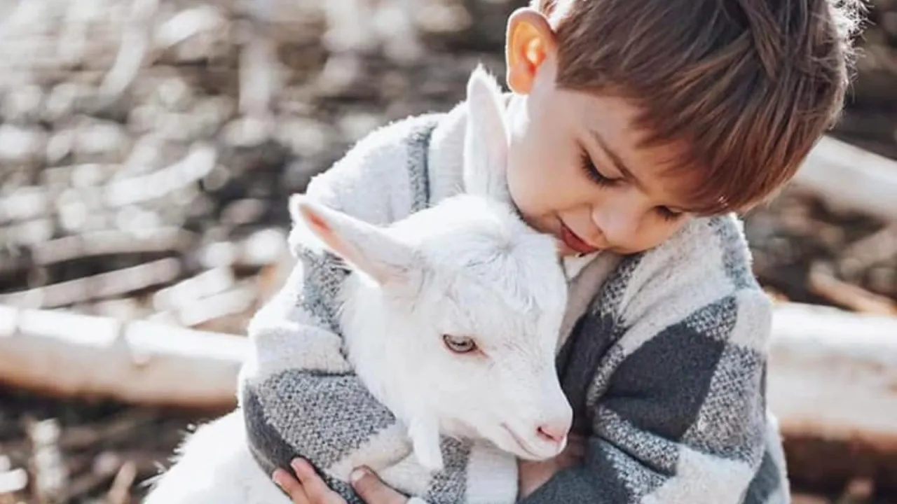 Rodzina na agroturystyce z dziećmi i zwierzętami