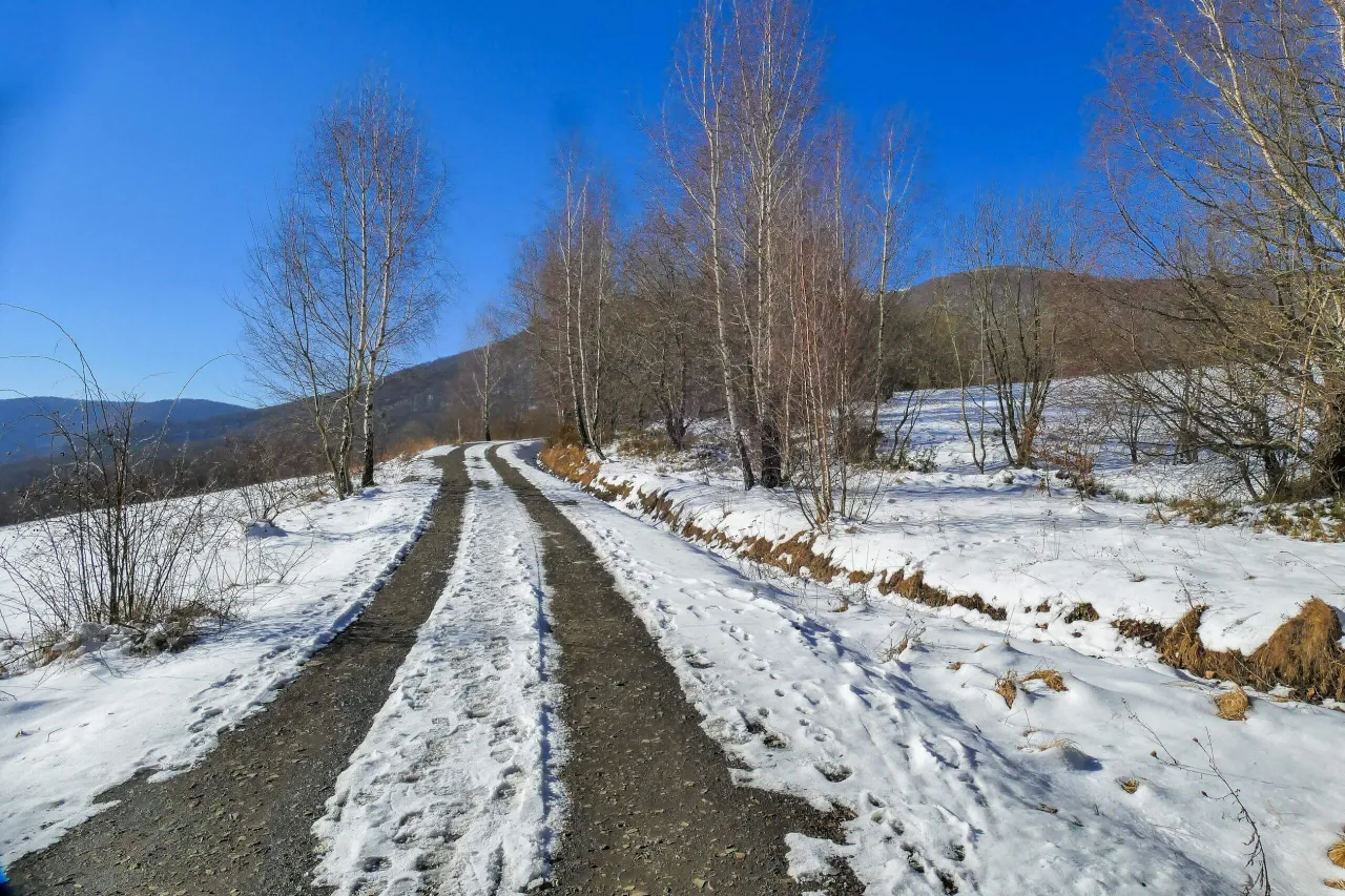 Droga do bac&oacute;wki pod Małą Rawką, zasypana śniegiem, prowadzi przez zimowy las.