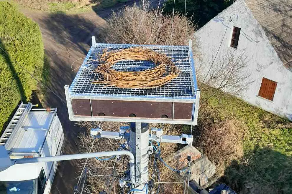 R&oacute;żne typy platform gniazdowych dla bocian&oacute;w na słupach i dachach